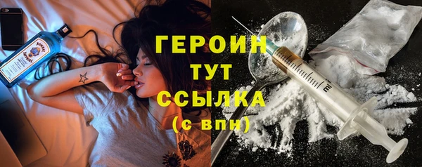 индика Ладушкин