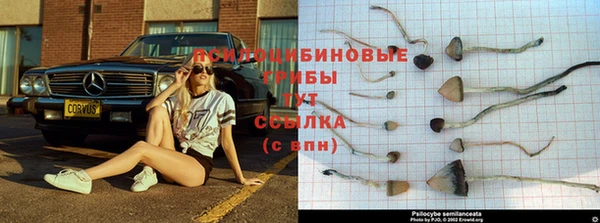 кокс Кулебаки