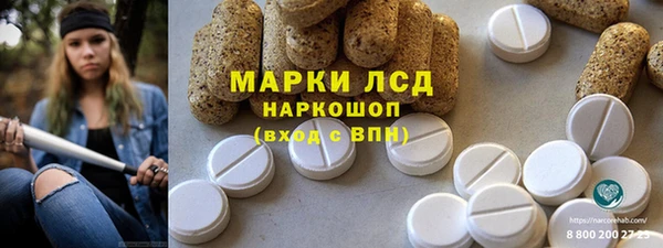 индика Ладушкин