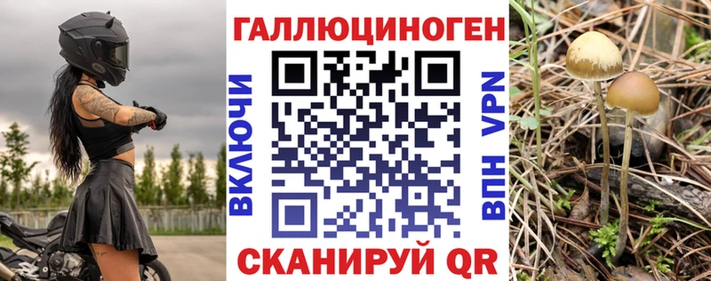 Галлюциногенные грибы Psilocybine cubensis дарнет шоп Фатеж